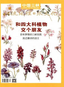 点击查看中国三峡