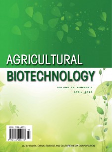 点击查看生物技术